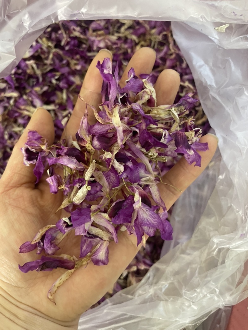 紫色石斛花大货批发