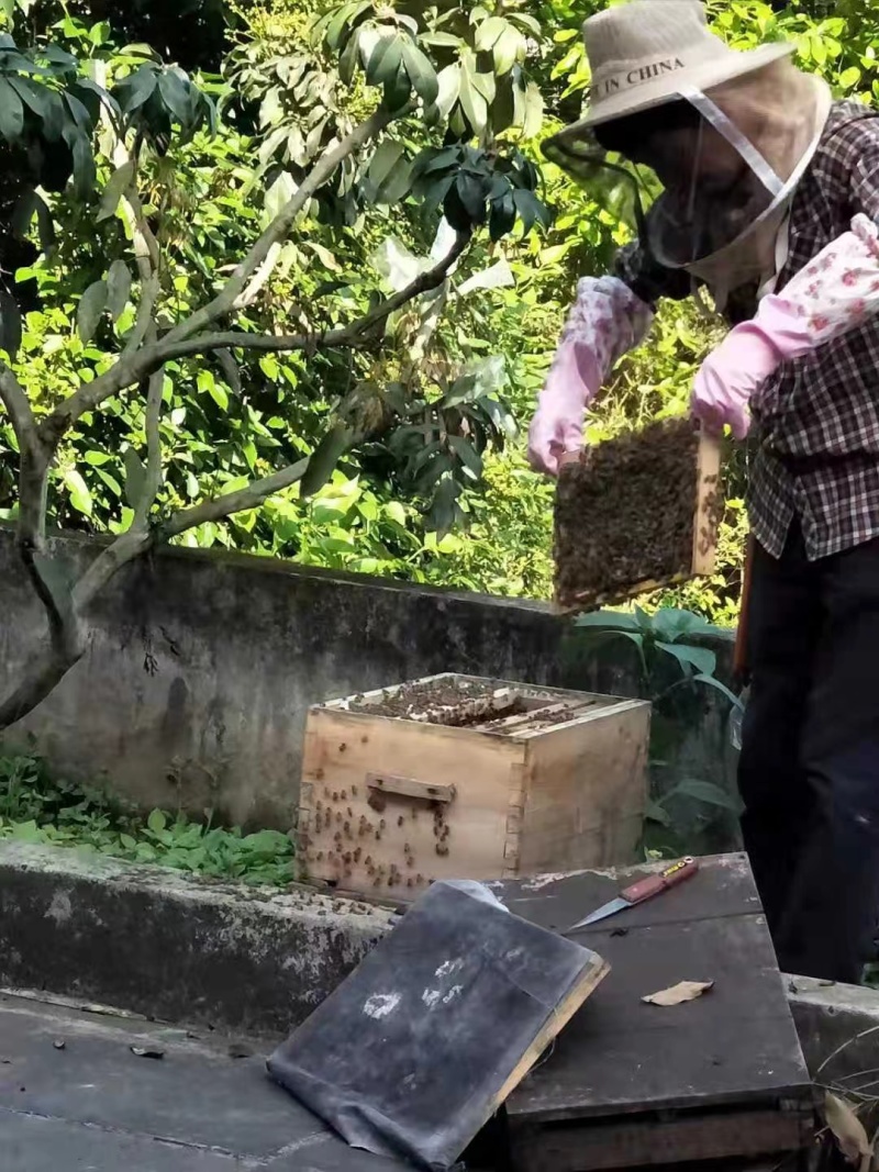蜂蜜桂圆蜜产地直发量大从优欢迎各位下单，来电咨询
