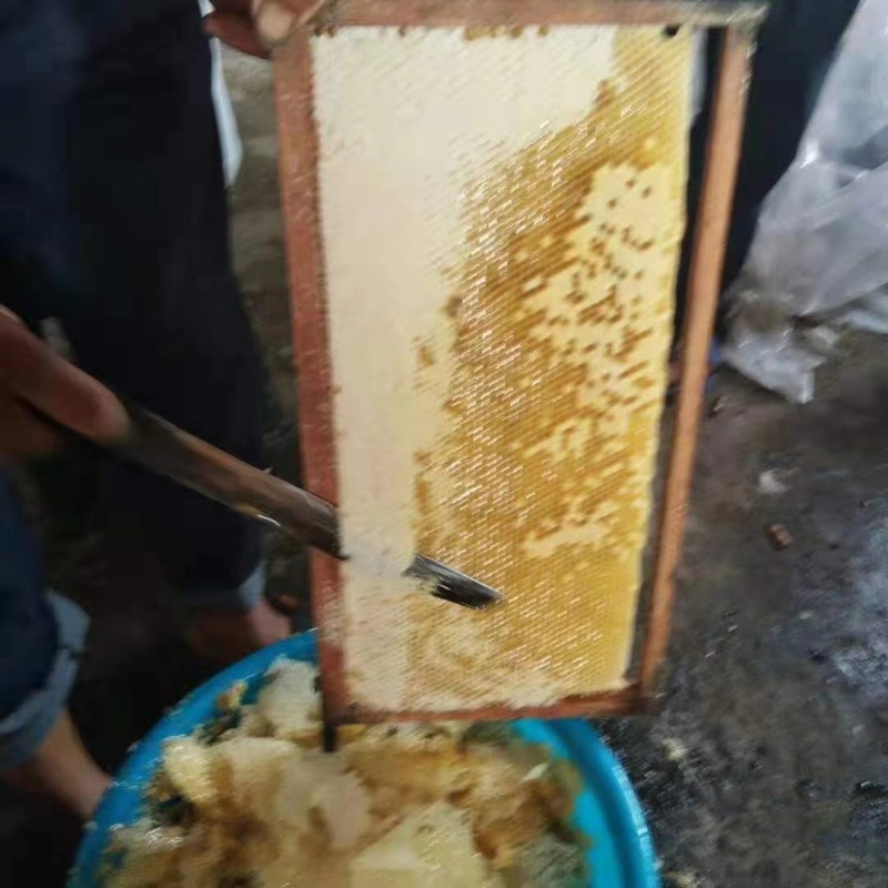 蜂蜜桂圆蜜产地直发量大从优欢迎各位下单，来电咨询