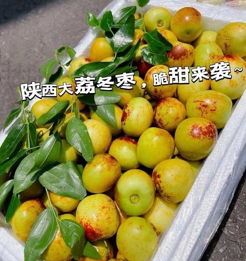 《大荔冬枣》大量上市/陕西冬枣/酥脆甜/产地直发质量保证