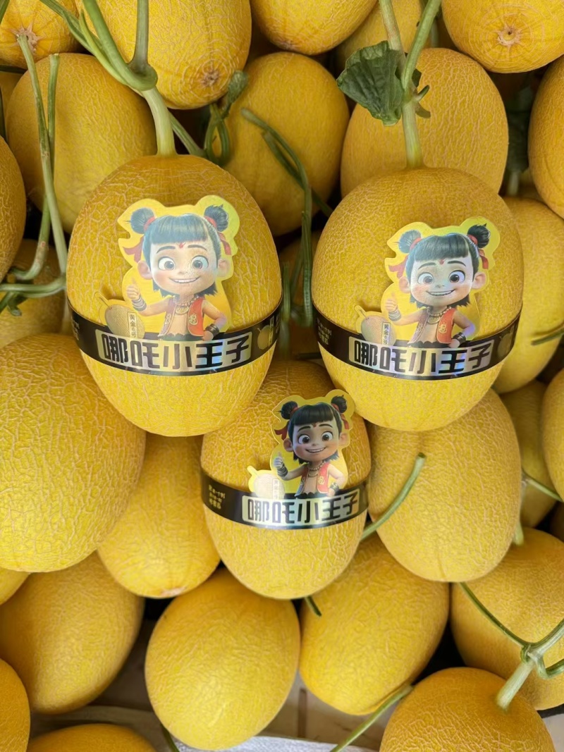 凤金6号金蛋蛋畅销品种百万亩基地专业品控专业供应