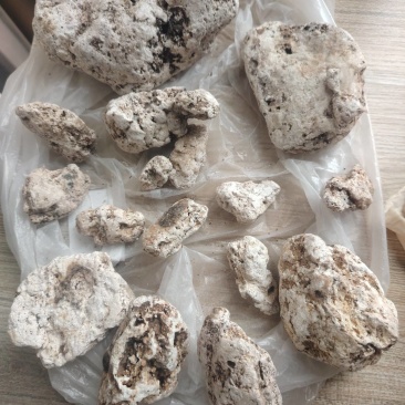 海滩天然龙涎香