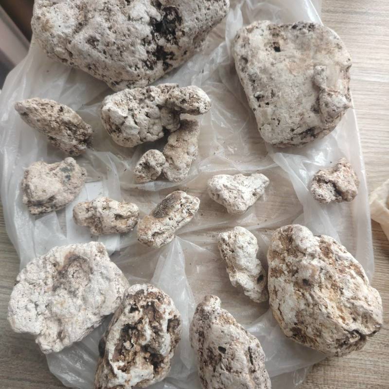 海滩天然龙涎香