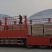 510型黄桃罐头