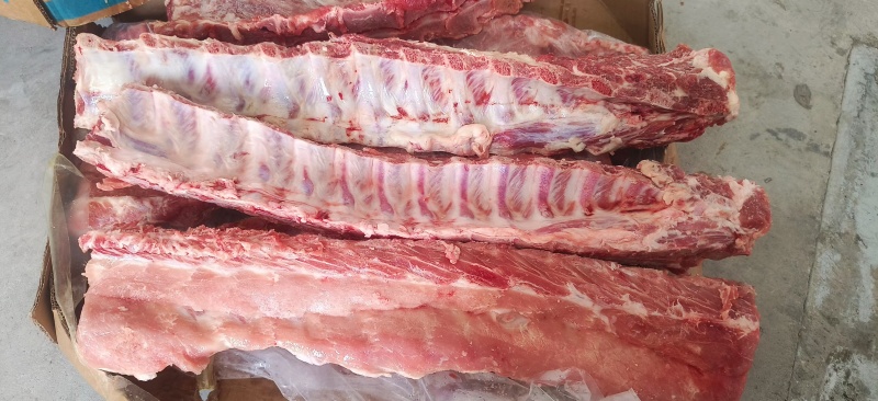 国产标猪龙骨