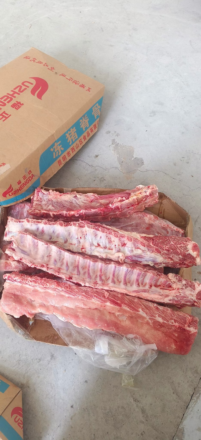 国产标猪龙骨