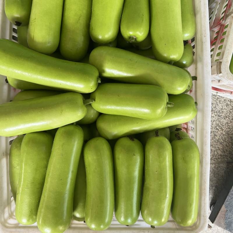 原产地精品瓠子、蒲瓜、葫芦瓜、一手货源