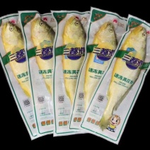 宁德黄花鱼，新鲜直供，健康美味！