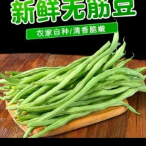 架豆王一一无筋