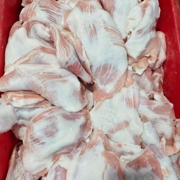 肉青各种规格可定做