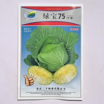 绿宝75水果味甘蓝种子包菜种籽甘蓝种子卷心菜籽高产抗病蔬