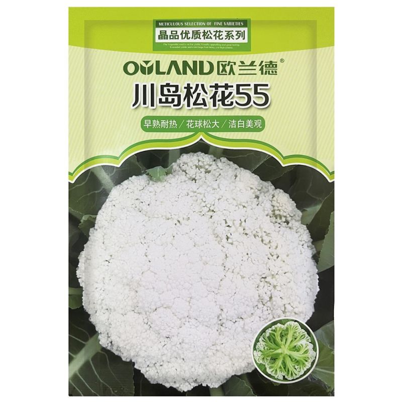正品欧兰德川岛松花55花菜种子耐热早熟青梗小米粒耐高温花