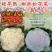 正品欧兰德川岛松花55花菜种子耐热早熟青梗小米粒耐高温花
