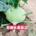 翠美水果苤蓝种子球茎苤菜天津青苤蓝大头菜薄皮生吃脆甜嫩芥