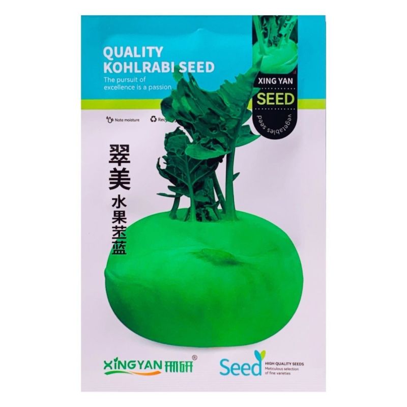 翠美水果苤蓝种子球茎苤菜天津青苤蓝大头菜薄皮生吃脆甜嫩芥