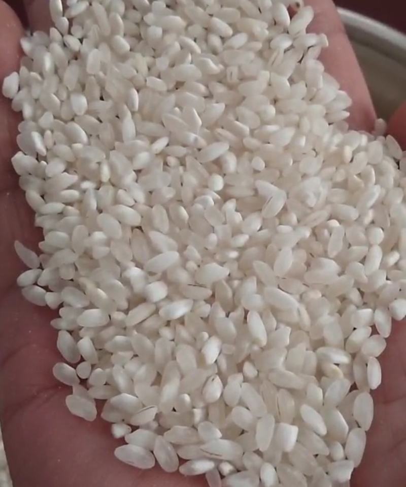 优质早稻粉米，腹白米，精米，碎米，一二三选米