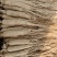 白生晒参，品质优，原产地发货，大量有货