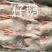 大鹅仔鹅