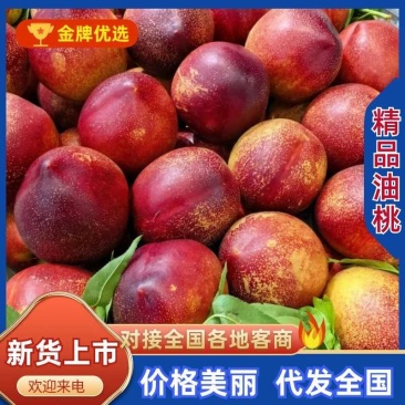 湖北曙光中油油桃，大量上市，量大从优，物美价廉欢迎选购