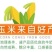 四川新鲜糯玉米大量上市代办代发需要联系