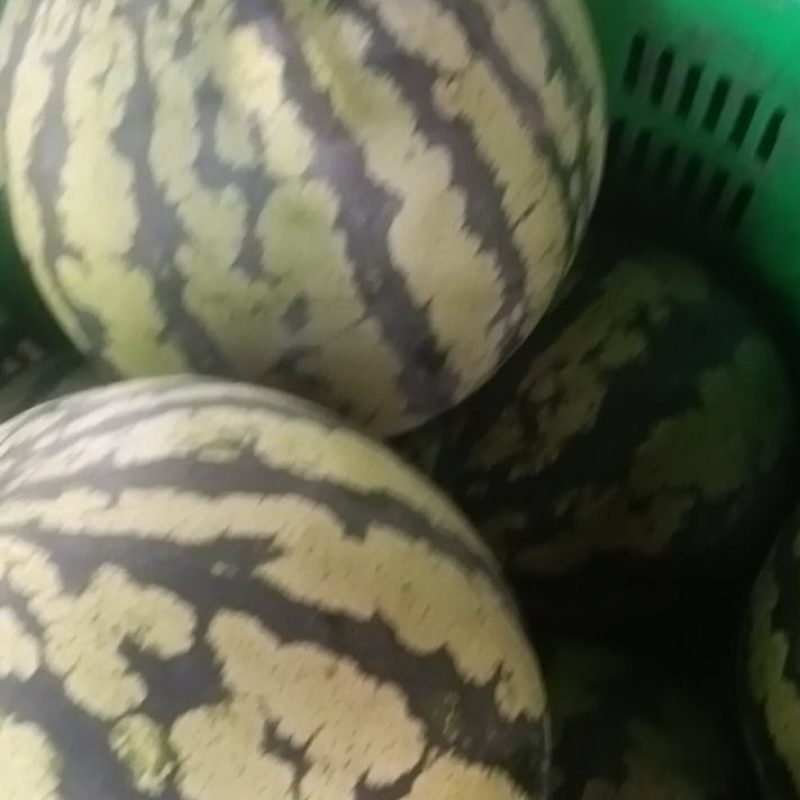 精品西瓜口口脆