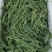 速冻野生黄须菜黄荆菜碱蓬菜2025新货