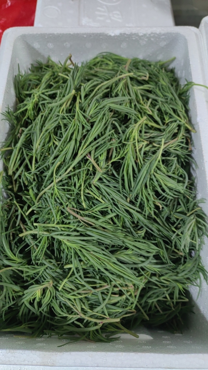 速冻野生黄须菜黄荆菜碱蓬菜2025新货