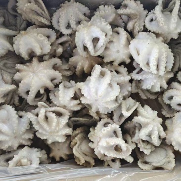 翻花小章鱼