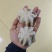 翻花小章鱼