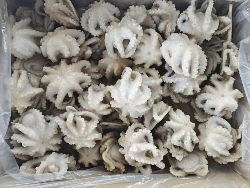 翻花小章鱼