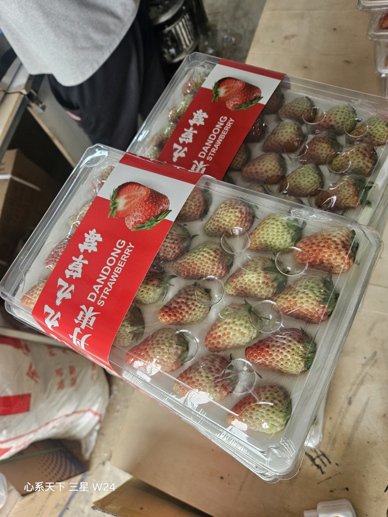 红颜草莓产地直发，货源稳定全国无死角代收代卖