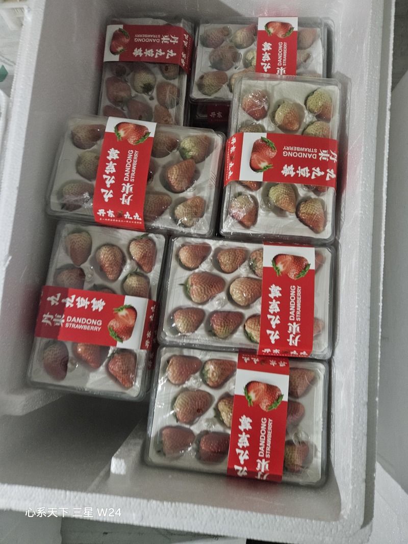 红颜草莓产地直发，货源稳定全国无死角代收代卖