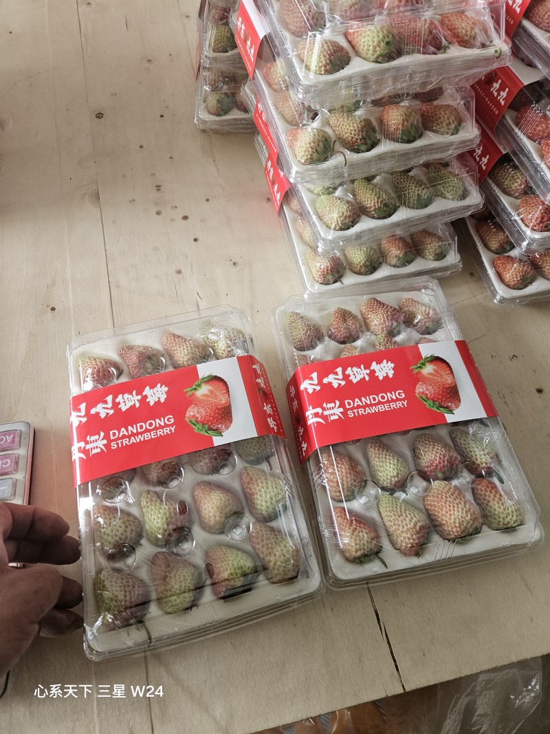 红颜草莓产地直发，货源稳定全国无死角代收代卖