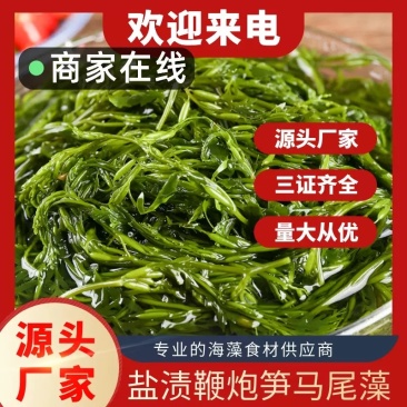 新鲜鞭炮笋盐渍马尾藻5斤（餐饮商用批发）