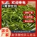 新鲜鞭炮笋盐渍马尾藻5斤（餐饮商用批发）