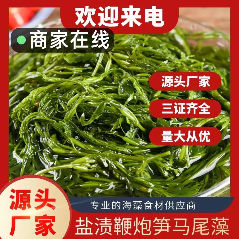 新鲜鞭炮笋盐渍马尾藻5斤（餐饮商用批发）