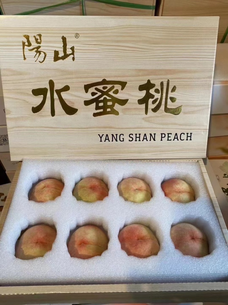 阳山水蜜桃，一件代发，自家果园，电商合作，市场批发