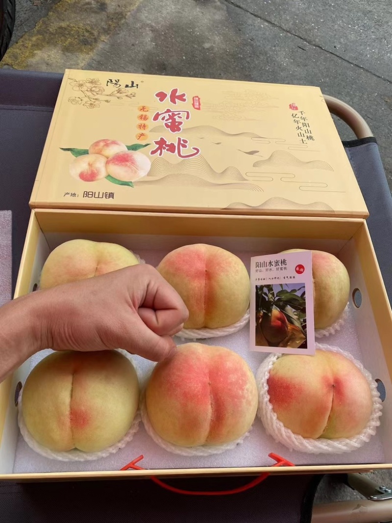 阳山水蜜桃，一件代发，自家果园，电商合作，市场批发