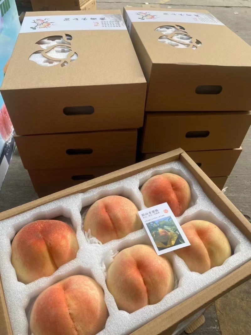 阳山水蜜桃，一件代发，自家果园，电商合作，市场批发