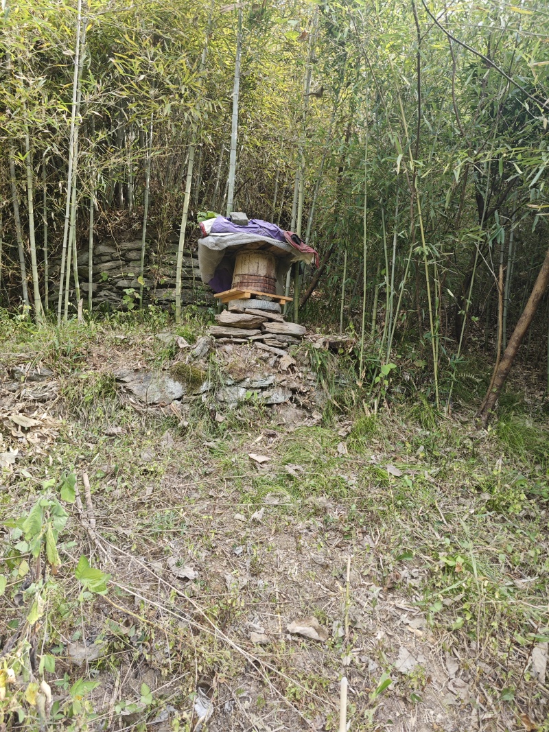 蜂蜜野蜂蜜土蜂蜜，现割现发，***包纯，诚信经营