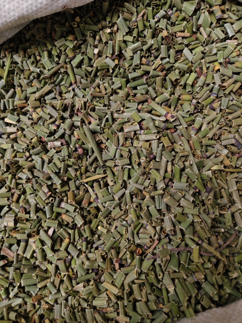 木贼中药材天然野生正品木贼木贼草节节草散装批发