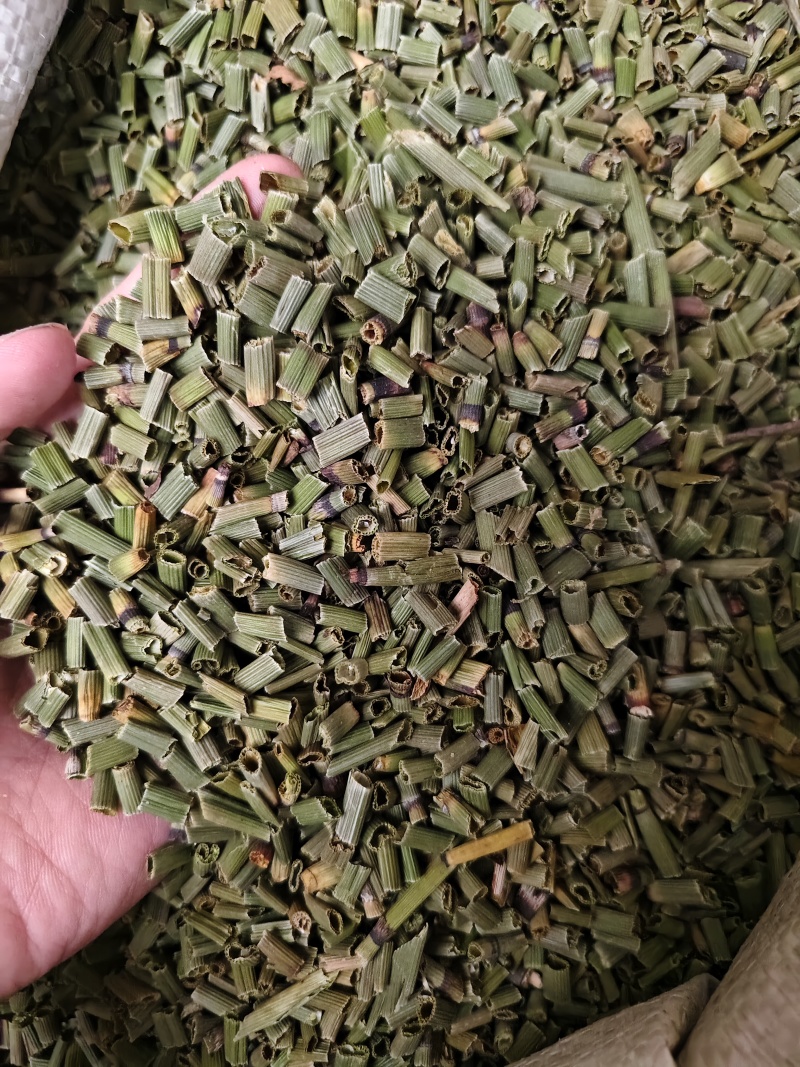 木贼中药材天然野生正品木贼木贼草节节草散装批发