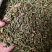 木贼中药材天然野生正品木贼木贼草节节草散装批发