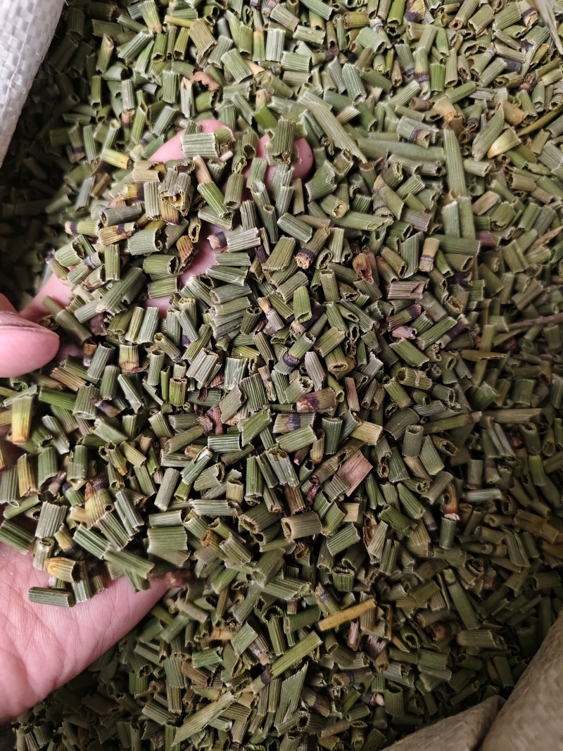 木贼中药材天然野生正品木贼木贼草节节草散装批发