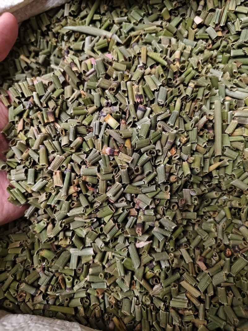 木贼中药材天然野生正品木贼木贼草节节草散装批发