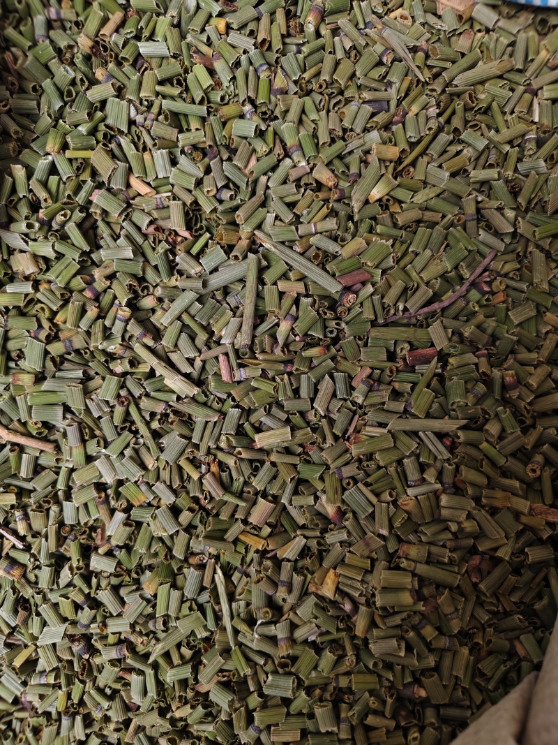 木贼中药材天然野生正品木贼木贼草节节草散装批发