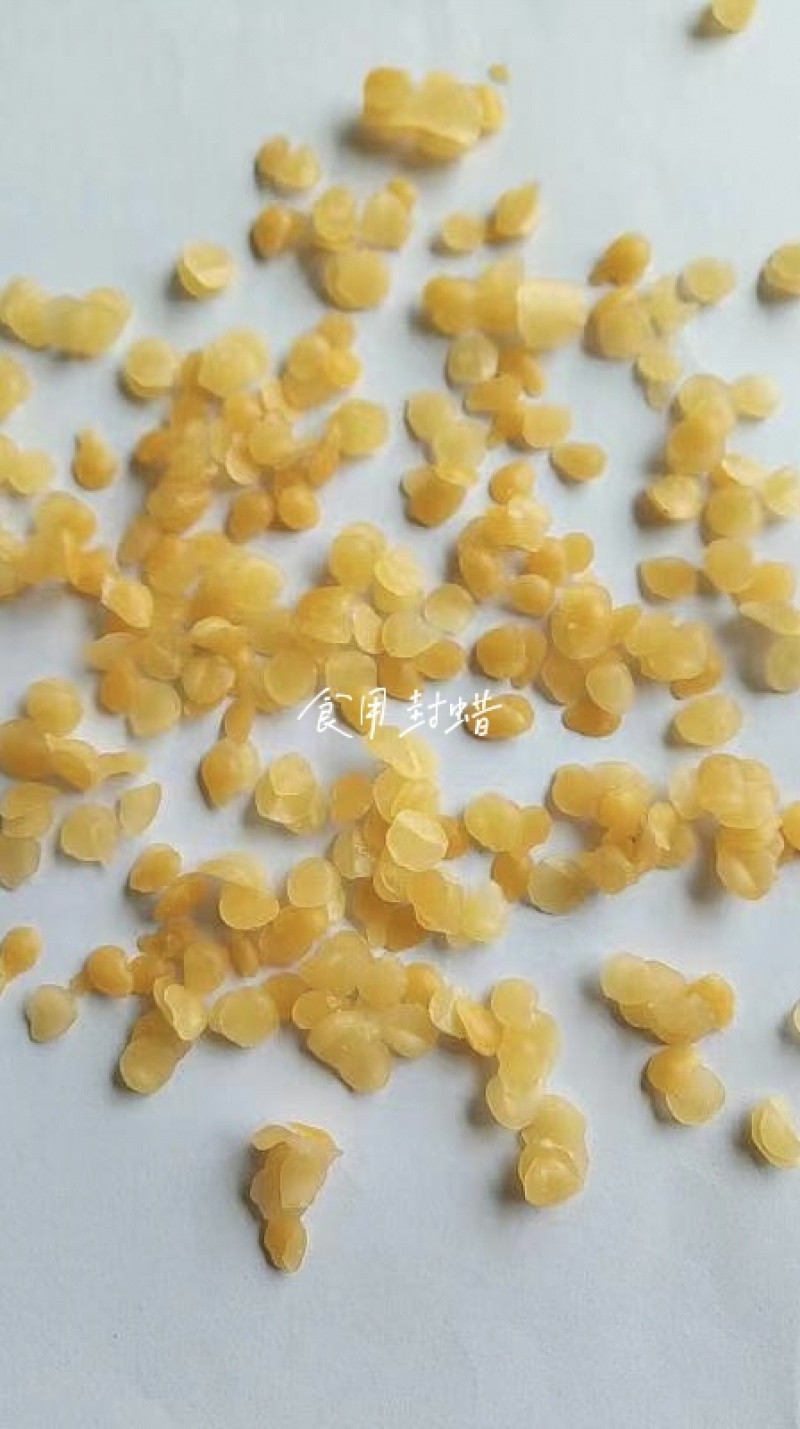 蜂蜡中药材用干货量大从优各种冷背中药材