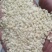 【甄选芝麻】白芝麻/黑芝麻/色选芝麻/芝麻酱/品质保障