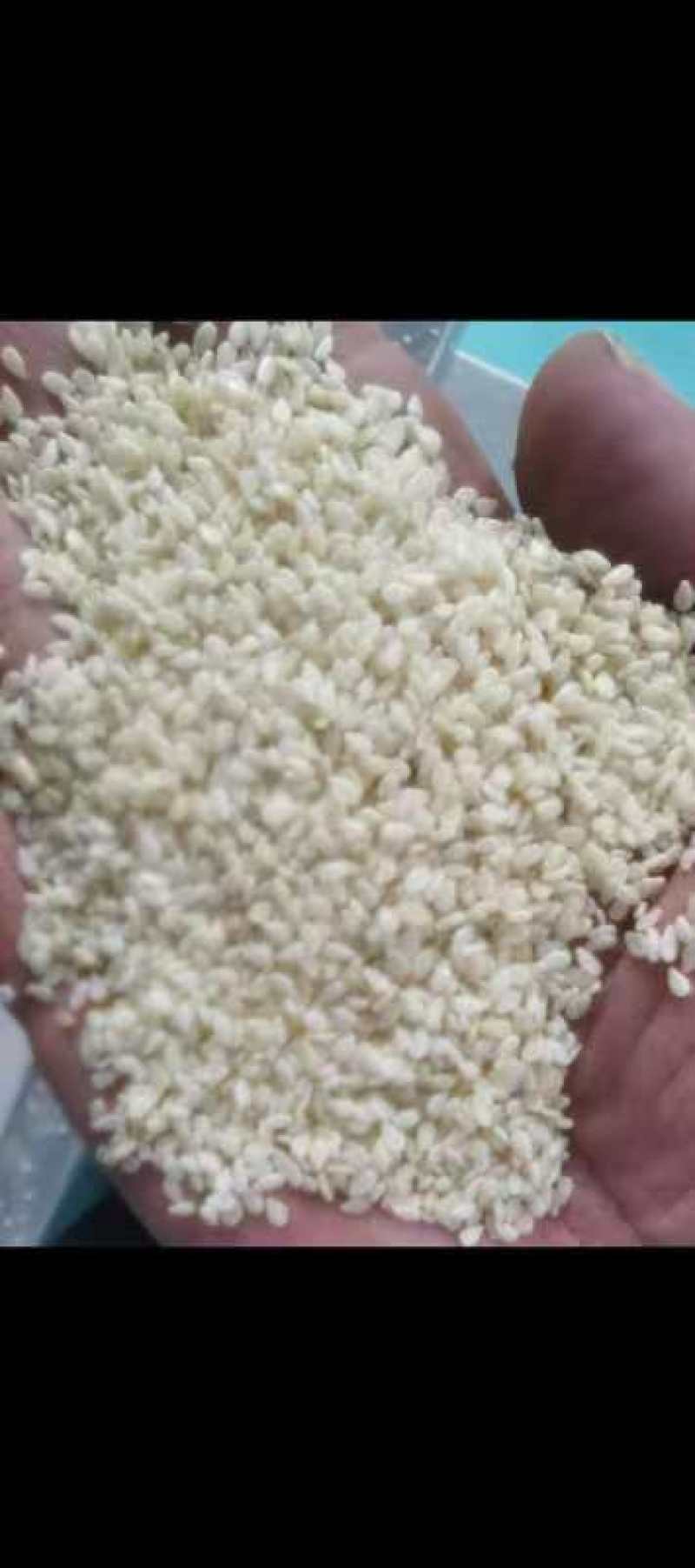 【甄选芝麻】白芝麻/黑芝麻/色选芝麻/芝麻酱/品质保障