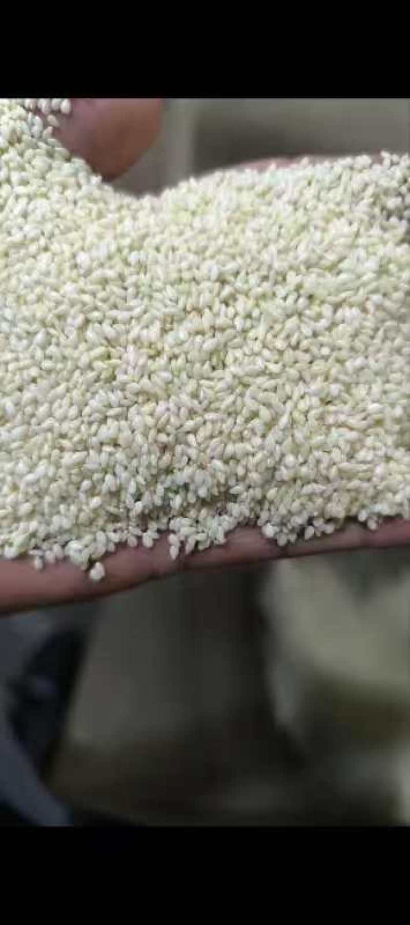 【甄选芝麻】白芝麻/黑芝麻/色选芝麻/芝麻酱/品质保障